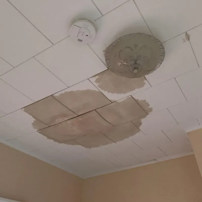 Ceiling Water Damage Repair in Alcona County, MI