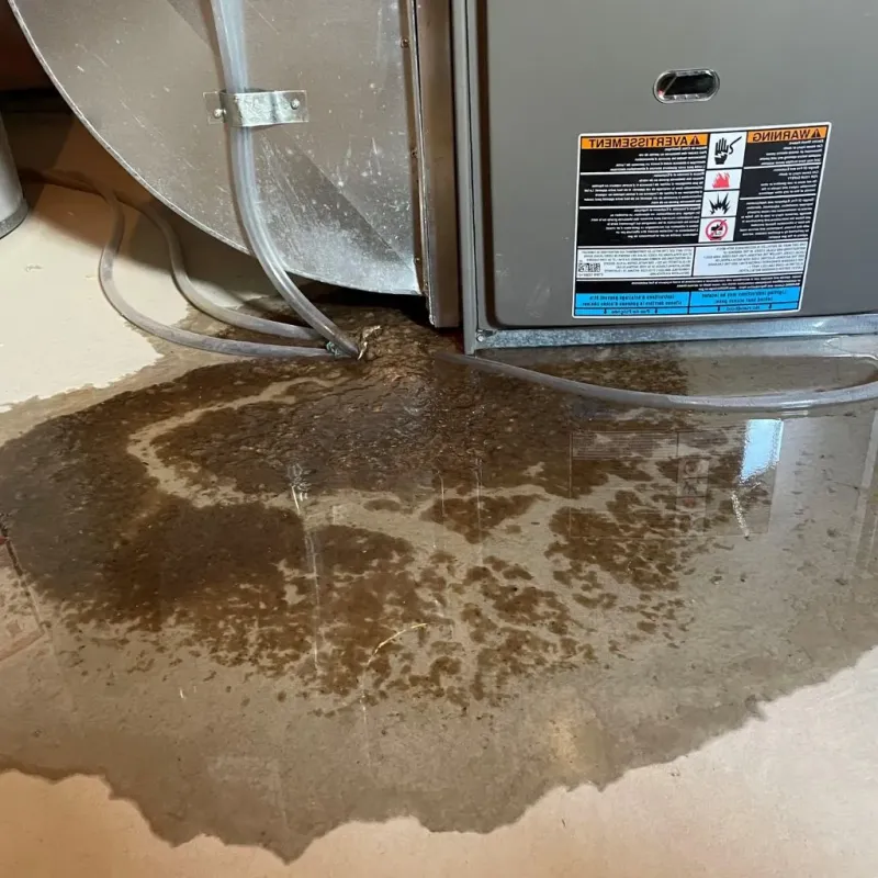 Pipe Burst and Leak Restoration in Alcona County, MI