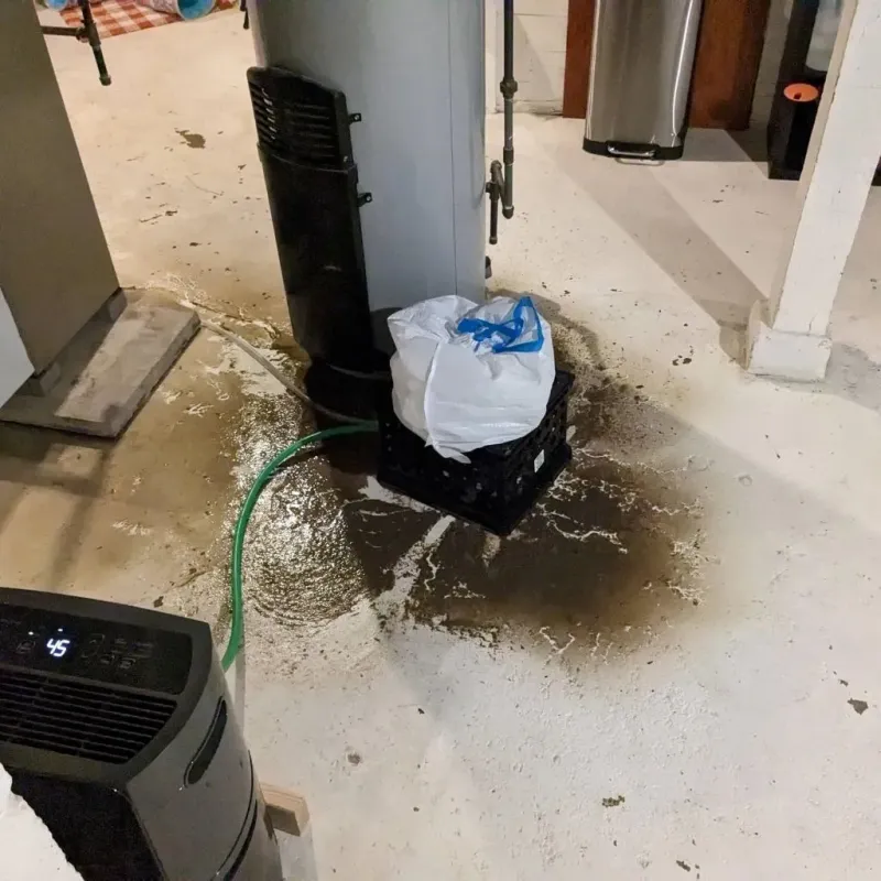 Sewage Backup Cleanup Service in Alcona County, MI